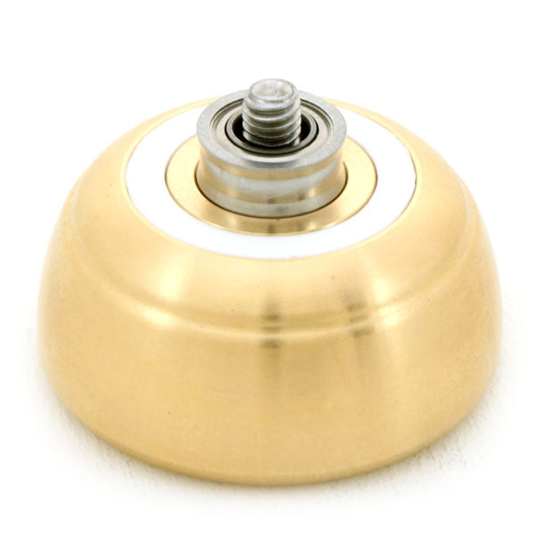 Loonie (American Edition)