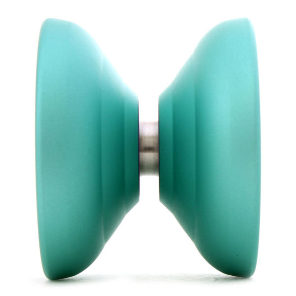 Snow Lzzard (2017WYYC)