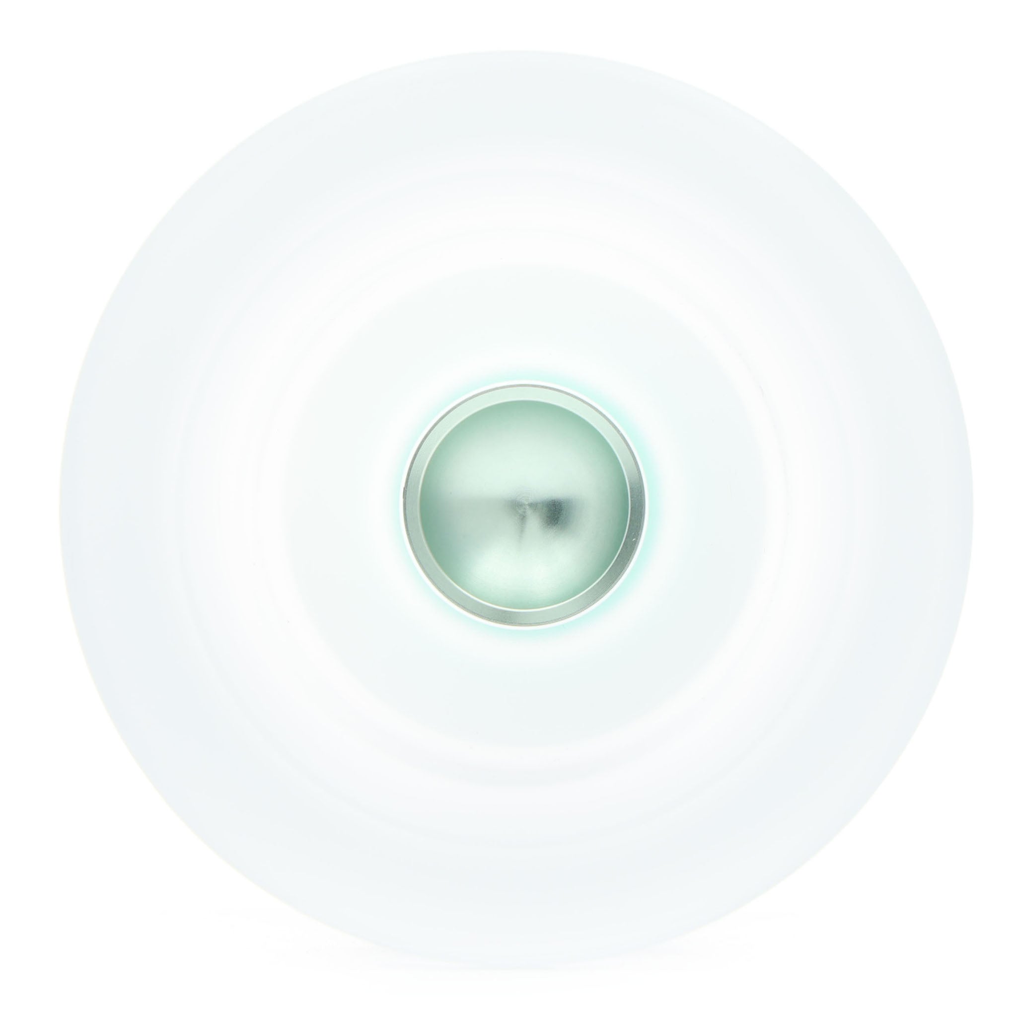 W1LD - Wilderness PC - Yo-Yo Store REWIND