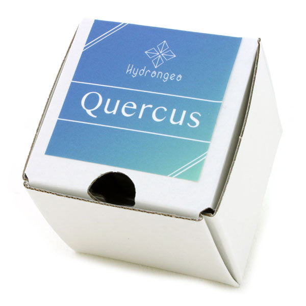 Quercus Prototype